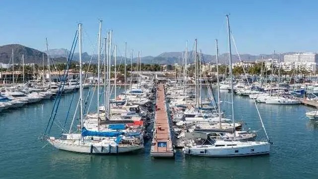 La renaturalización marina de Alcudiamar dispara la biodiversidad del puerto de Alcúdia