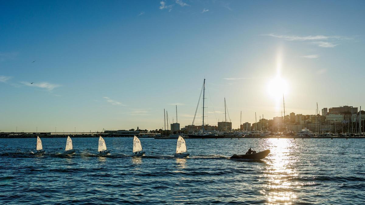 Autoridad Portuaria de Baleares impulsa un modelo náutico que prima el retorno social, el deporte base y el acceso al mar