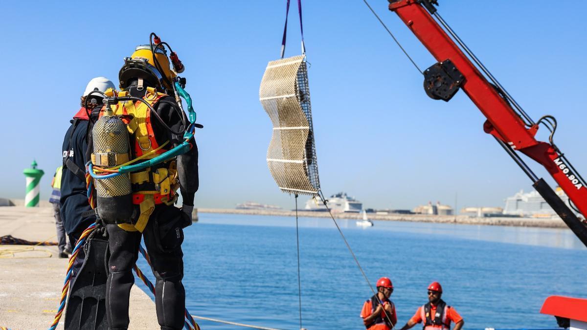 El Port de Barcelona instala estructuras bajo el agua para regenerar el entorno marino