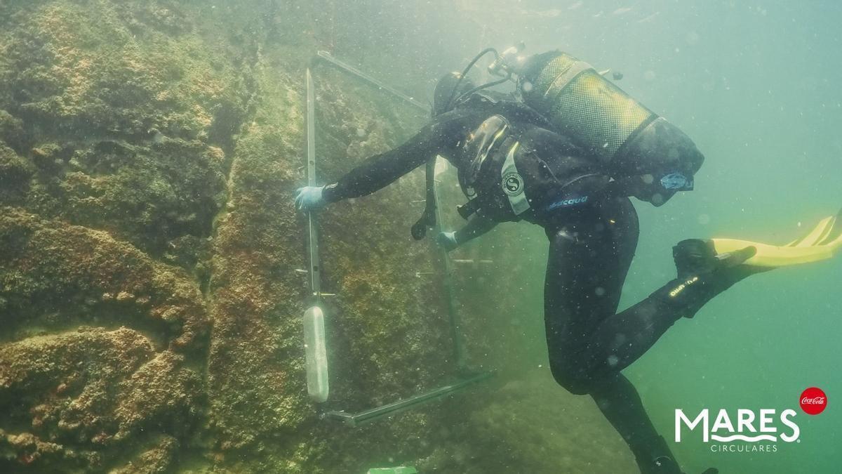 Mares Circulares y Ocean Ecostructures impulsan la renaturalización de puertos deportivos en el Real Club Náutico de Palma
